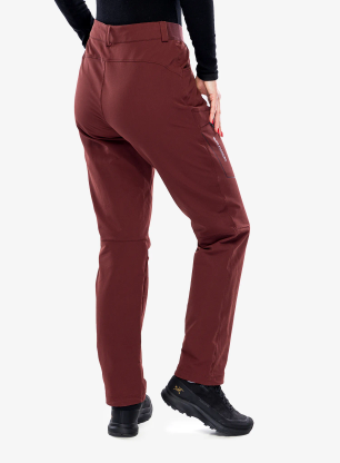 Spodnie turystyczne damskie Salomon Wayfarer Warm Pant - rum raisin