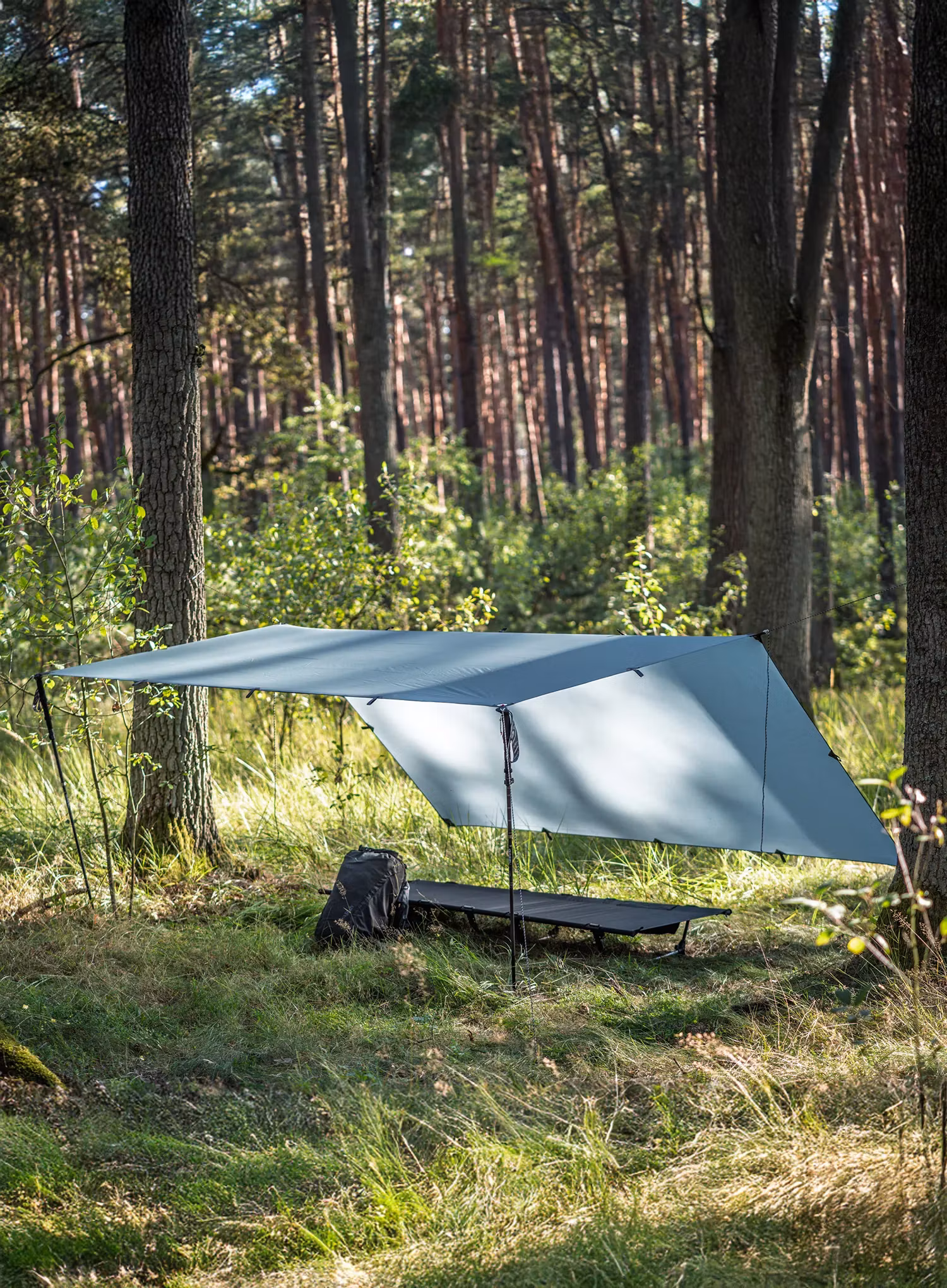 Tarp Lesovik Groza - silver pine