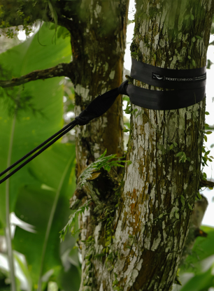 Zawieszenie do hamaka Ticket To The Moon Tree Friendly Extender